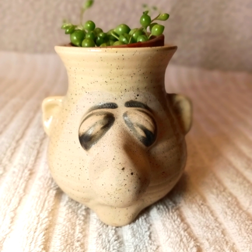 Peter Petrie Egg separator / Tiny Planter